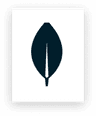 MongoDB